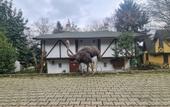 Туры в отель Polonezkoy Country Club & Accommodation in the Wildlife Park!