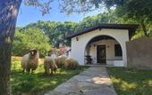 Туры в отель Polonezkoy Country Club & Accommodation in the Wildlife Park!