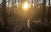 Туры в отель Polonezkoy Country Club & Accommodation in the Wildlife Park!