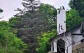 Туры в отель Polonezkoy Country Club & Accommodation in the Wildlife Park!