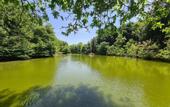 Туры в отель Polonezkoy Country Club & Accommodation in the Wildlife Park!