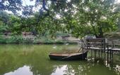 Туры в отель Polonezkoy Country Club & Accommodation in the Wildlife Park!