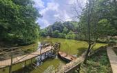 Туры в отель Polonezkoy Country Club & Accommodation in the Wildlife Park!