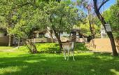 Туры в отель Polonezkoy Country Club & Accommodation in the Wildlife Park!