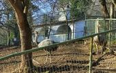 Туры в отель Polonezkoy Country Club & Accommodation in the Wildlife Park!