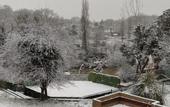 Туры в отель Polonezkoy Country Club & Accommodation in the Wildlife Park!