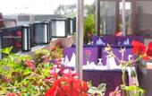 Туры в отель GLK Premier The Home Suites (ex Best Western)
