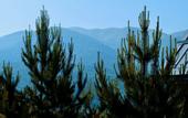 Туры в отель Dil Hill by Sam