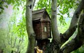 Туры в отель Dil Hill by Sam