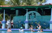 Туры в отель Heritage Village Resorts & Spa, Goa