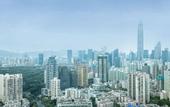 Туры в отель UrCove Shenzhen Bay Futian Port