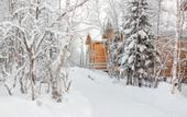 Туры в отель Arctic Home Hotel
