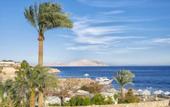 Туры в отель Domina Coral Bay Studio Apartments