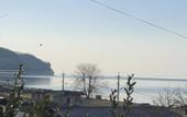 Туры в отель Riviera Guest house