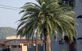 Туры в отель Riviera Guest house