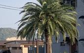 Туры в отель Riviera Guest house