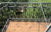 Туры в отель Riviera Guest house