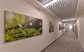 Туры в отель Hotel Biznes Hotel Yar