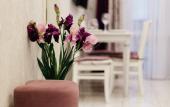 Туры в отель Red Nizhneimeretinskaya 137A Armada Apartments
