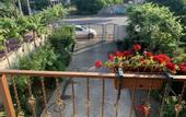 Туры в отель Gostevoy Dom Sukhum Guest House