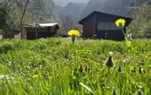 Туры в отель Butterfly Valley Glamping