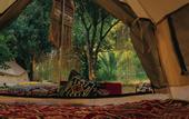 Туры в отель Butterfly Valley Glamping