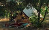 Туры в отель Butterfly Valley Glamping