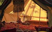 Туры в отель Butterfly Valley Glamping