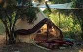Туры в отель Butterfly Valley Glamping