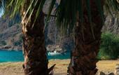 Туры в отель Butterfly Valley Glamping