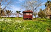 Туры в отель Butterfly Valley Glamping