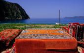 Туры в отель Butterfly Valley Glamping