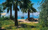 Туры в отель Butterfly Valley Glamping