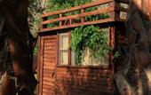 Туры в отель Butterfly Valley Glamping