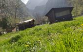 Туры в отель Butterfly Valley Glamping