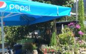 Туры в отель Zeleny Dvorik Guest House
