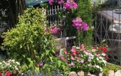 Туры в отель Zeleny Dvorik Guest House
