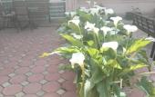 Туры в отель Zeleny Dvorik Guest House