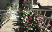 Туры в отель Zeleny Dvorik Guest House