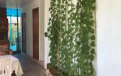 Туры в отель Zeleny Dvorik Guest House