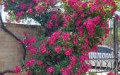 Туры в отель Na Sosnalieva 46 Guest House