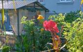 Туры в отель Dacha u Morya Guest House