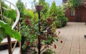 Туры в отель Morskaya Skazka Guest House