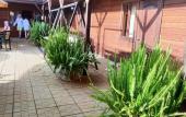 Туры в отель Morskaya Skazka Guest House