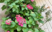 Туры в отель Morskaya Skazka Guest House