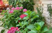 Туры в отель Morskaya Skazka Guest House