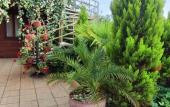 Туры в отель Morskaya Skazka Guest House