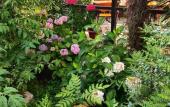 Туры в отель Morskaya Skazka Guest House