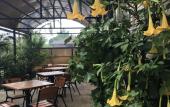 Туры в отель Morskaya Skazka Guest House