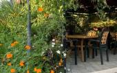 Туры в отель Morskaya Skazka Guest House